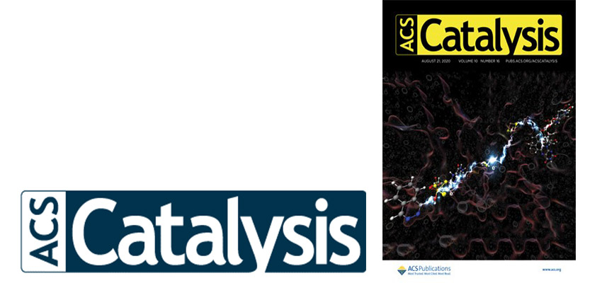 1st BioCatPolymers Open Access Publication